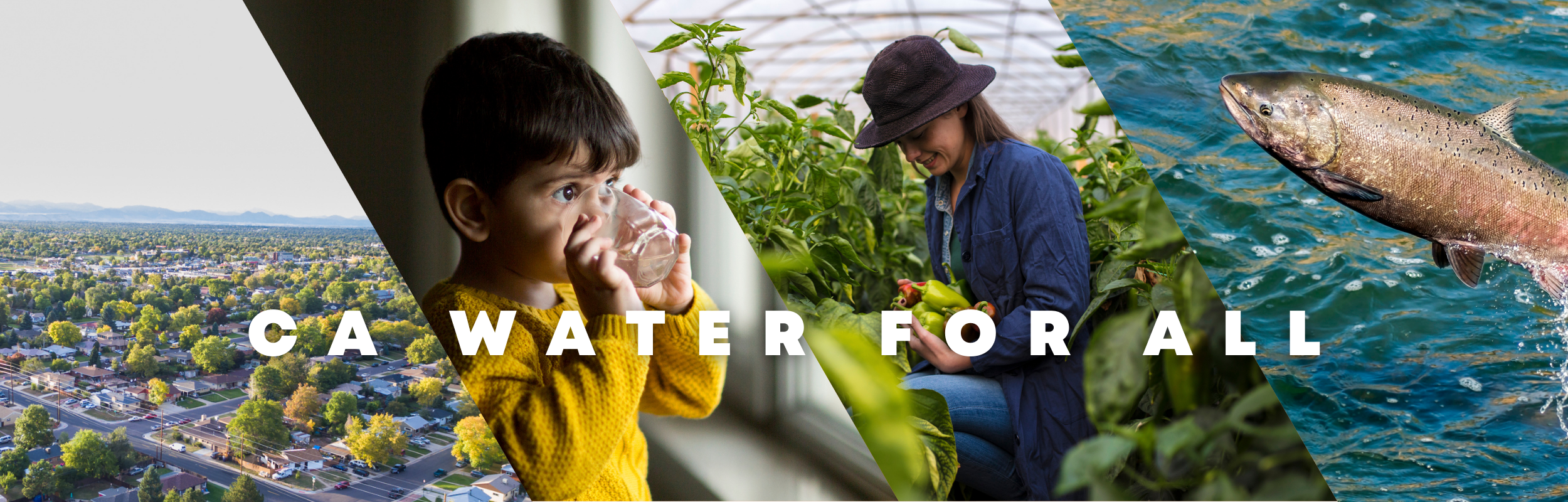 +Waterさん専用ページ FOR+ALL+(2500+×+600+px).png
